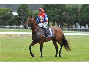 Final Touch - Photo NZTR website