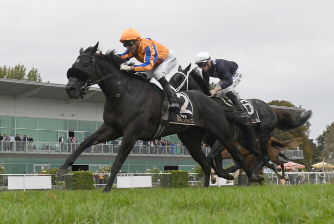 Brando and Colorado Star (white cap) fight out the finish to the Gr.2 City Of Palmerston North Awapuni Gold Cup (2000m) - Photo: Peter Rubery, Race Images