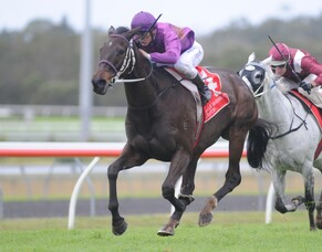 Zennista gives Budgie a thrill