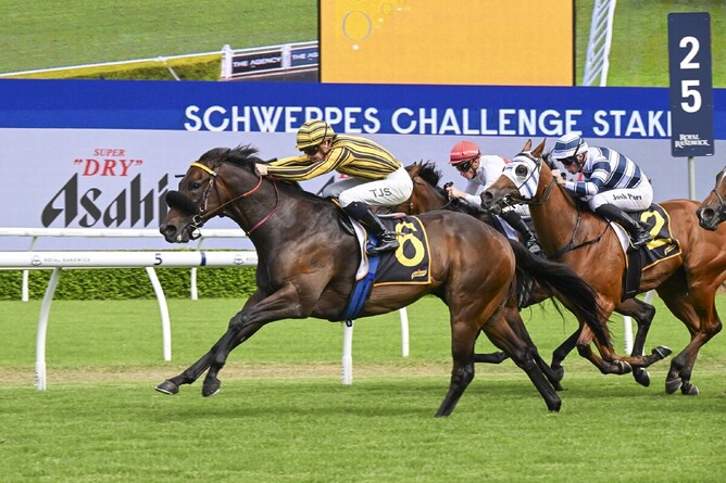 Jedibeel scores his most important win of his promising career in Saturday’s A$500,000 Gr.2 Schweppes Challenge Stakes (1000m) at Randwick.  - Photo: bradleyphotos.com.au