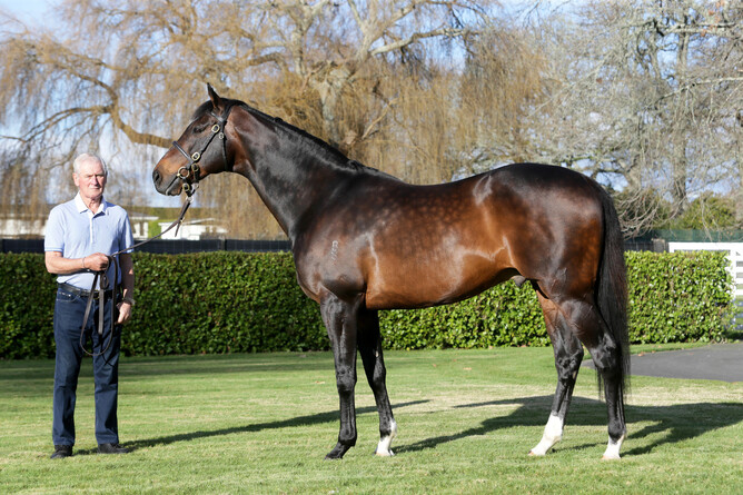 Sir Patrick Hogan and Tavistock - Trish Dunell