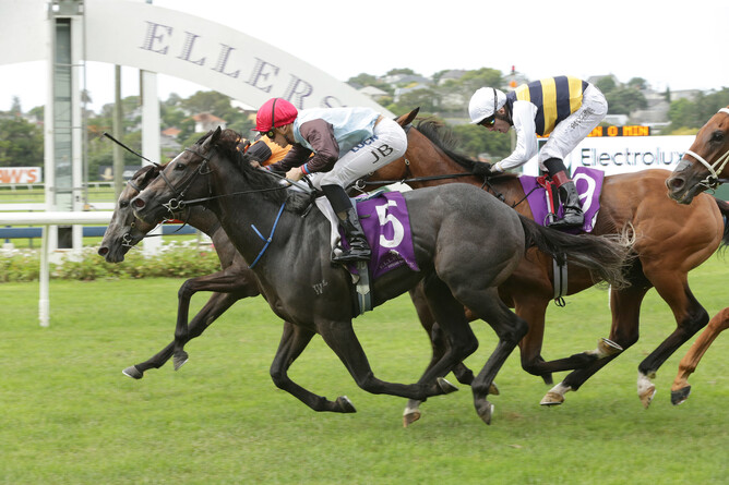 On The Rocks (red cap) winning the Gr.2 Avondale Guineas (2100m) -  Trish Dunell