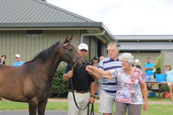 Sophie's Choice as a yearling parades for the late Sir Colin Meads and Lady Verna Meads