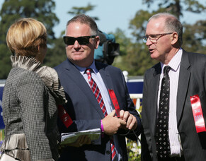 Many points of interest in Valachi’s Karaka draft