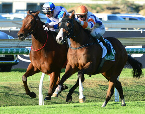 Trelawney stars on super Saturday of racing