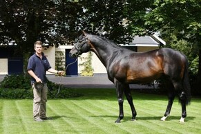 Jamie&#039;s Blog - August 2012