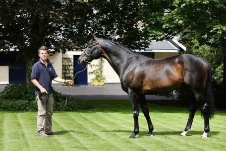 Jamie and 4-time Ascot Gold Cup winner and Coolmore sire Yeats