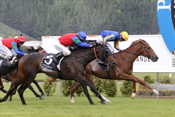 Showboy (inside) wins the Gr.2 Golden Homes Wakefield Challenge Stakes. - Picture courtesy of Trish Dunell