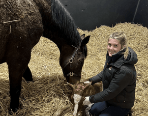 Alice Wilkinson - Irish National Stud Blog 2