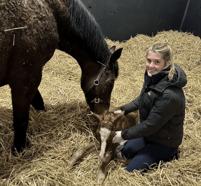 Alice has enjoyed her first month at the Irish National Stud in the foaling yard. - Photo: Supplied