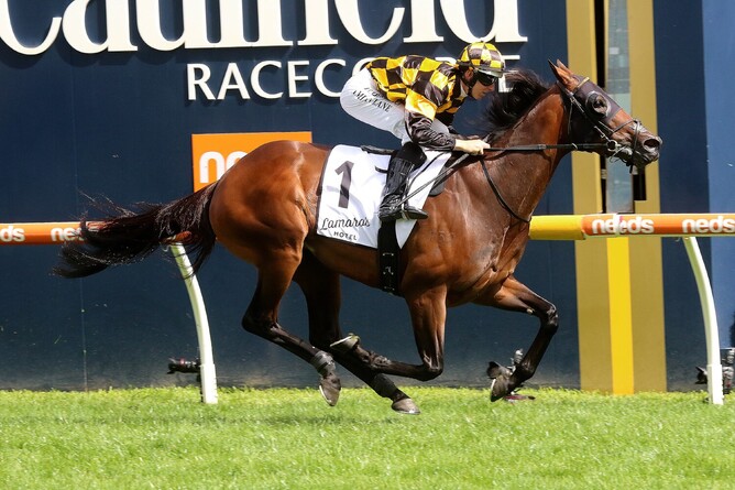 Class mare Probabeel races clear for a fresh-up victory in the Gr.3 Geoffrey Bellmaine Stakes (1200m) at Caulfield Photo Credit: Darryl Sherer