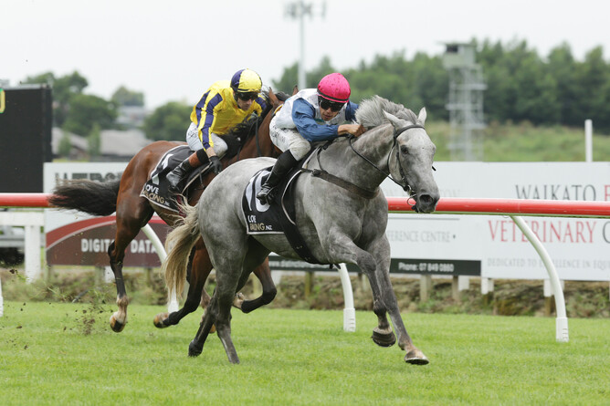 Loosespender winning the Gr.2 Waikato Guineas (2000m) at Te Rapa on Friday. - Photo: Trish Dunell