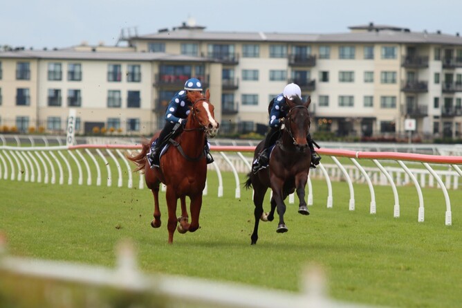 The 2021 New Zealand Bloodstock Ready To Run Sale will now take place virtually at Te Rapa Racecourse on 17 and 18 November, commencing at 1PM (NZT) each day.   Photo: Angelique Bridson