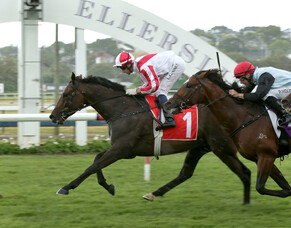 Derby Hopefuls for Rich Hill