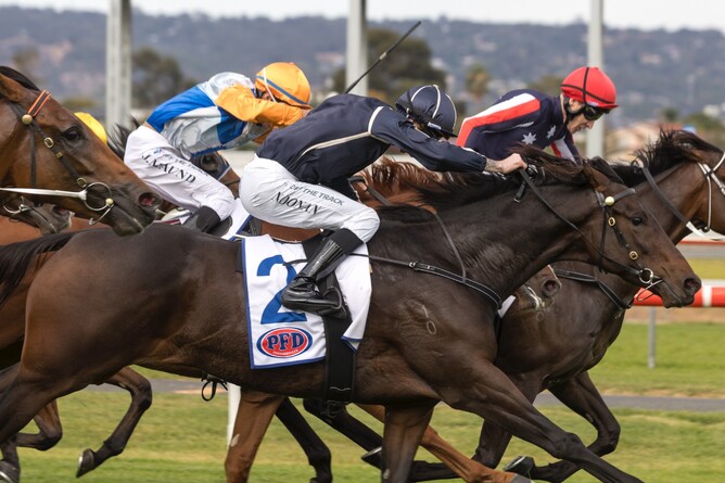 Bold Soul on his way to winning the Gr.3 Chairman’ Stakes (2000m) at Morphettville - Photo: Atkins Photography