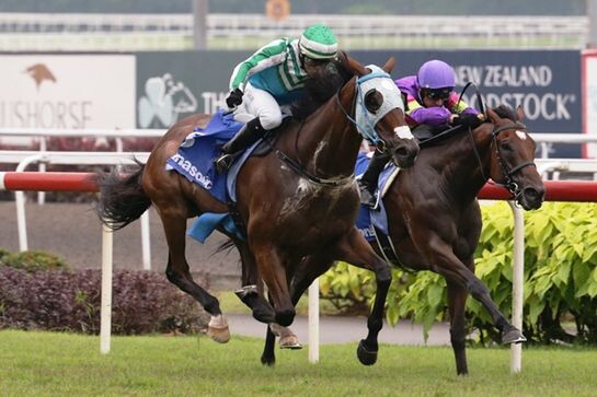 Infantry (Manoel Nunes) outbattles Countofmontecristo (Glen Boss) to gain victory in the   Panasonic Kranji Mile, picture Singapore Turf Club
