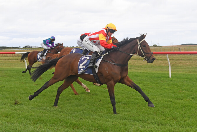 Procul Boy winning the Property Brokers – Wanganui (1200m) at Waverley on Wednesday.  - Photo: Peter Rubery (Race Images Palmerston North)