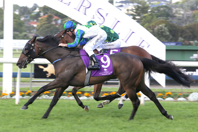 Coldplay wins the Gr.3 Eagle Technology Stakes (1600m). Pic.  Trish Dunell
