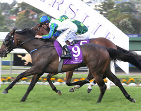 Wallace on hand for Stakes triumph