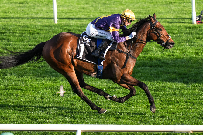 War Machine ridden by Blake Shinn wins the Gr.2 Gilgai Stakes at Flemington - Photo: Scott Barbour/Racing Photos