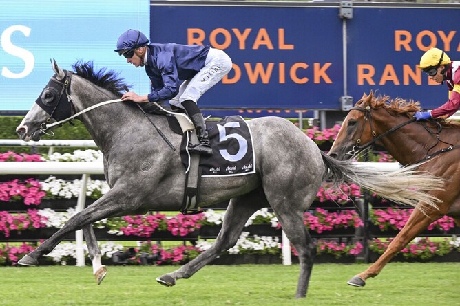 Public Attention scores in the Gr. 3 ATC Eskimo Prince Stakes. - Photo: bradleyphotos.com.au