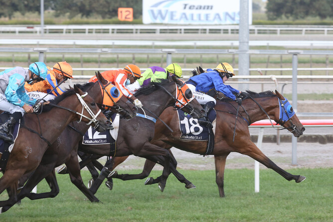 Langkawi prevails in a blanket finish to the Listed Matamata Veterinary Services Kaimai Stakes (2000m) Photo Credit: Trish Dunell