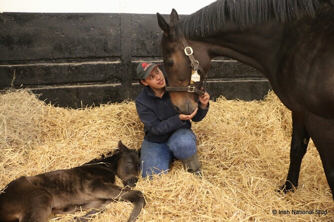 Danielle pictured with international G1 performing mare Snow Fairy (Intikhab - Woodland Dream) and her new born foal