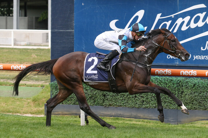 Flying Mascot takes out the Gr.3 Mannerism Stakes (1400m) at Caulfield Photo Credit: Bruno Cannatelli