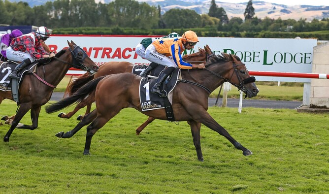 Perfect Scenario captures back-to-back Gr.3 White Robe Lodge Weight For Age (1600m) victories under Niranjan Parmar at Wingatui.  - Photo: Monica Toretto