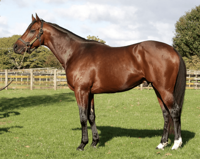 Echoes of Heaven  - Photo: Supplied