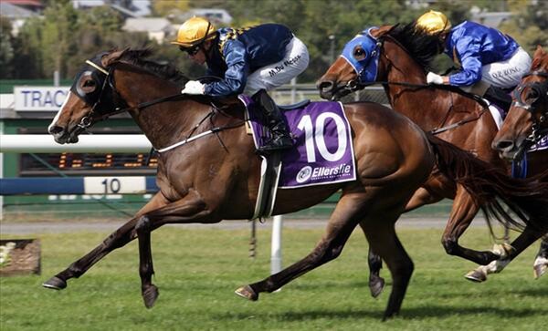 Viadana (Towkay - Yeah Nah) takes out the Group Three Eagle Technology at Ellerslie - Photo NZTM website