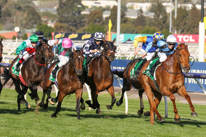 Smokin' Romans leads the pack home in the Gr.1 Turnbull Stakes. - Photo: Bruno Cannatelli
