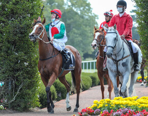 Hedwood Thoroughbreds celebrate Timaru Stakes win