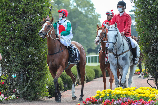 Flashy mare Monza Circuito returns a stakes winner at Riccarton. - Photo: Race Images South