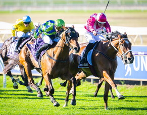 Cosmic Crusader heads big Kiwi-bred result in Northerly