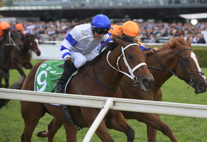 Kolding (closest to camera) headed a NZ-bred trifecta in the Gr.1 Epsom Handicap (1600m). - bradleyphotos.com.au