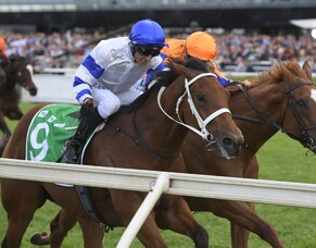 Kolding heads NZ-bred Trifecta in G1 Epsom
