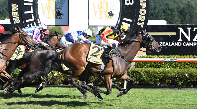 Lincoln King (outer) holds out stablemate Starrybeel (partially obscured) to win the Gr.3 NZ Campus Of Innovation & Sport Wellington Cup (3200m) at Trentham Photo Credit: Race Images – Peter Rubery