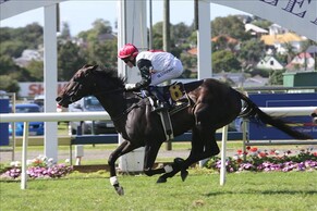 A Perfect Fit for Haunui Farm and connections