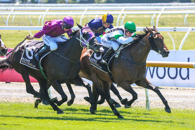 Lily Sutherland drives Not Guilty to glory in the Listed Donaldson Brown Pegasus Stakes (1000m) at Riccarton Park on Saturday.  - Photo: Race Images South