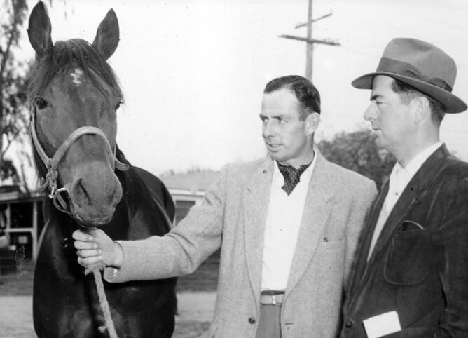Hollywood Park 1956, Bob Morris shows Sir Woolf Fisher’s four-year-old entire EL KHOBAR to American Buddy Hirsch (right) following his arrival in Calfornia.  - Supplied