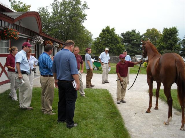 A pre-sale inspection with the Taylor Made team.