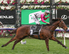 Rich Hill graduates chasing feature prizes