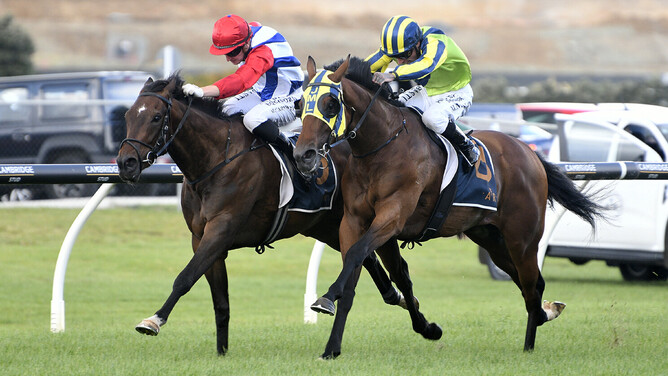 Eventual winner Yaldi (outside) and Midnight Edition fight out the Gr.2 Shaw’s Wire Ropes Auckland Guineas (1400m) at Ellerslie.  - Photo: Kenton Wright, Race Images