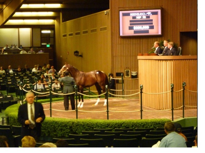 The Keeneland sale ring