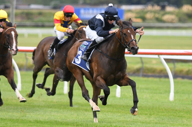 Smart Staphanos two-year-old Pignan winning at Trentham on Saturday - Race Images PN (Peter Rubery)