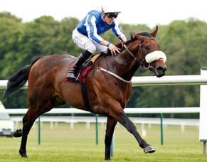 Group One placing for Hello Youmzain