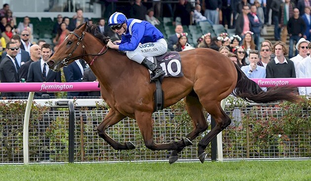 The famous blue and white racing silks of His Highness Sheikh Hamdan Bin Rashid Al Maktoum