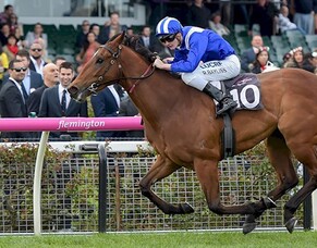 Scholarship Blog: Sam Bergerson&#039;s from Shadwell Stud