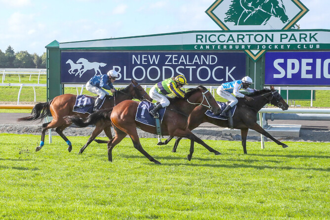 Miss Layla refuses to yield as she wins the Listed NZB Airfreight Stakes (1600m) at Riccarton - Photo: Race Images South
